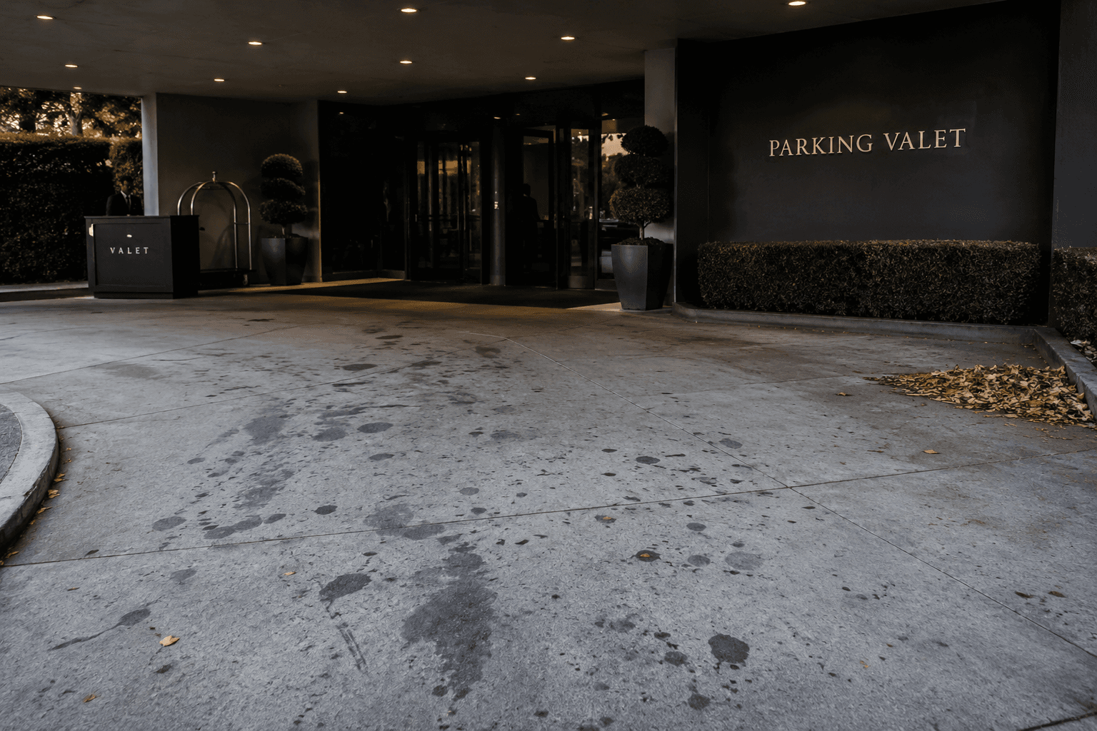 Non-conformité documentée — parking valet — sol et feuilles